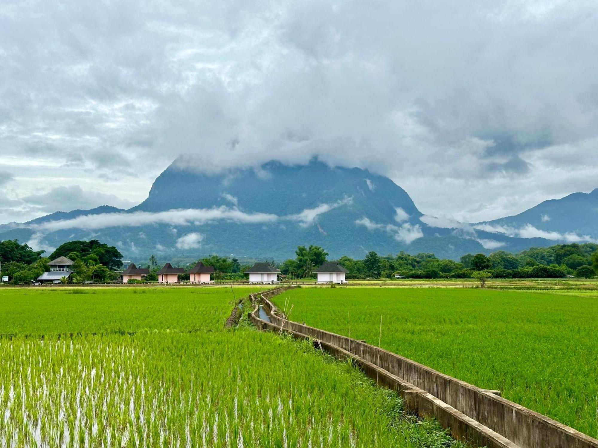 Baan Porhdoi Goidao Chiang Dao Exterior foto